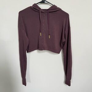 whitney simmons cropped sweater